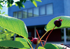 Internat der Hans-Sachs-Schule